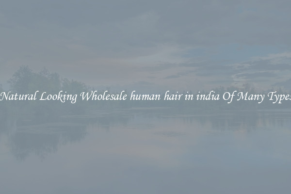 Natural Looking Wholesale human hair in india Of Many Types