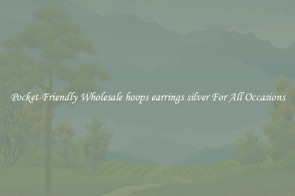 Pocket-Friendly Wholesale hoops earrings silver For All Occasions