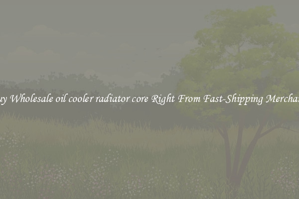 Buy Wholesale oil cooler radiator core Right From Fast-Shipping Merchants