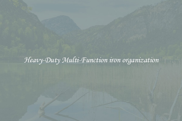 Heavy-Duty Multi-Function iron organization