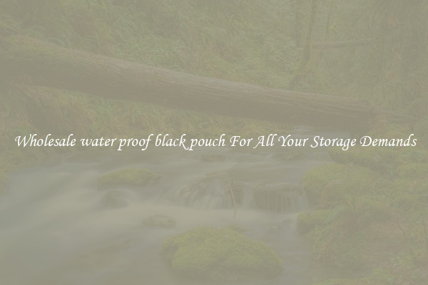 Wholesale water proof black pouch For All Your Storage Demands