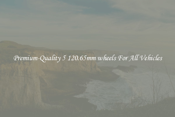 Premium-Quality 5 120.65mm wheels For All Vehicles