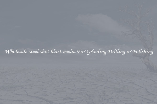 Wholesale steel shot blast media For Grinding Drilling or Polishing