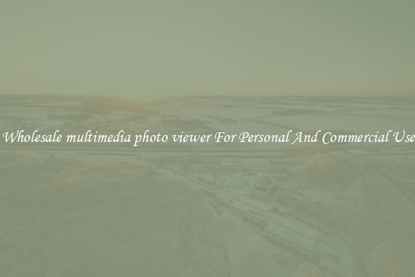 Wholesale multimedia photo viewer For Personal And Commercial Use